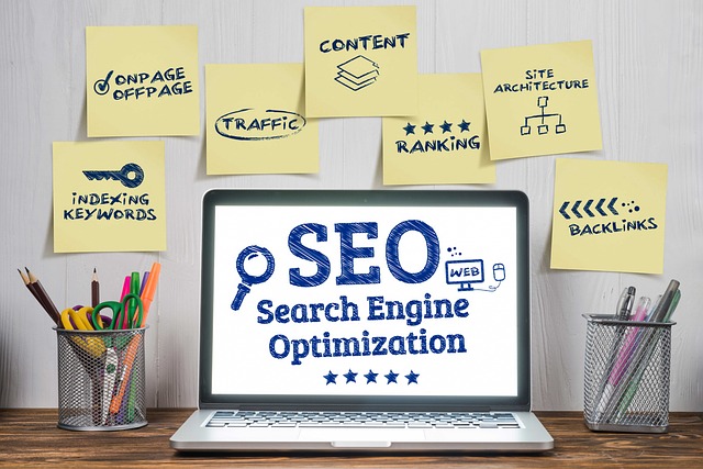 Beginner friendly SEO checker tool screenshot for new bloggers Simple SEO analysis tool for blog showing free SEO report Basic on-page SEO checker free tool for beginners and small business LLC